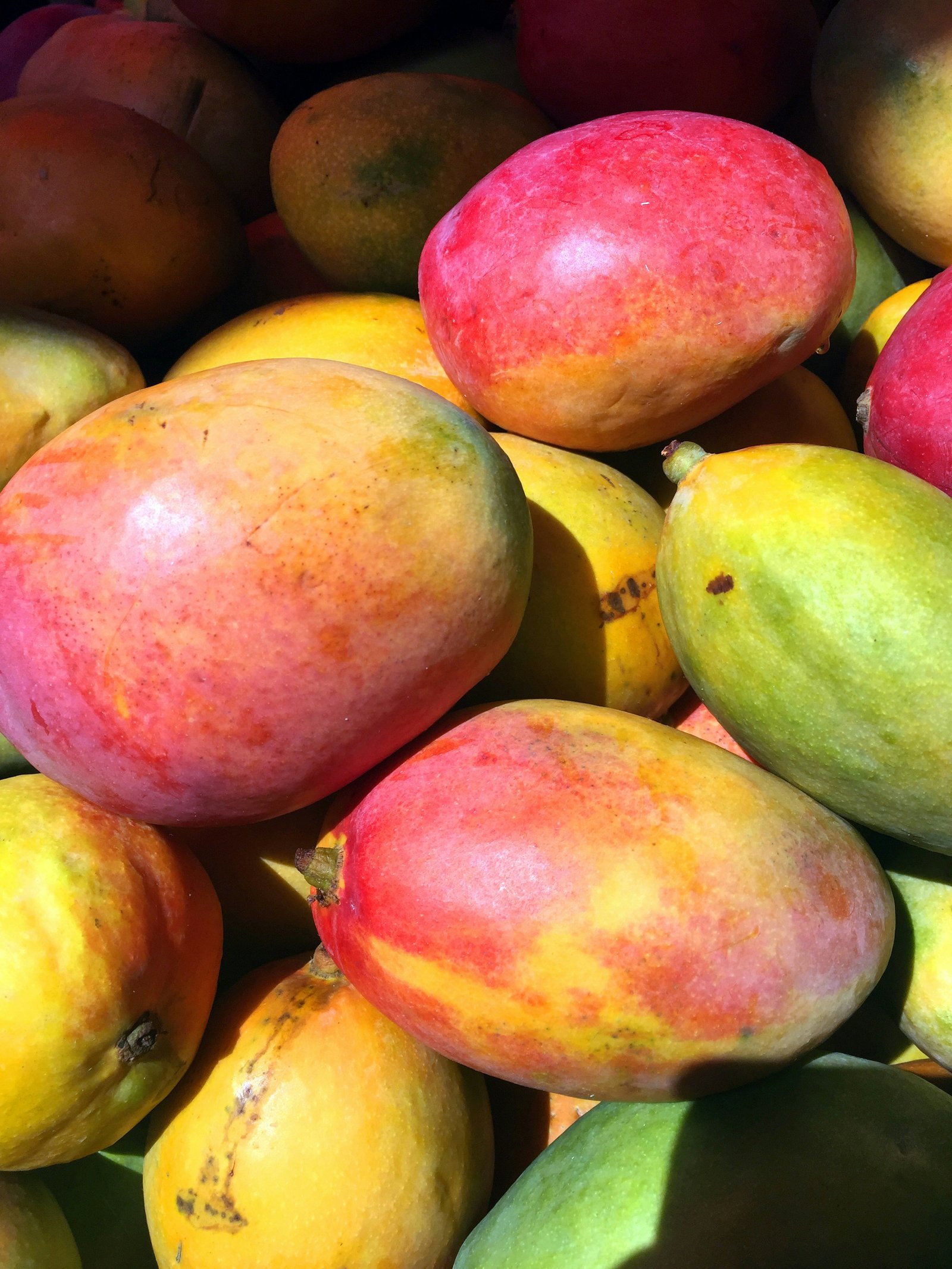 Organic Mangoes